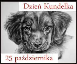 Dzień Kundelka – Przyjazna Łapa