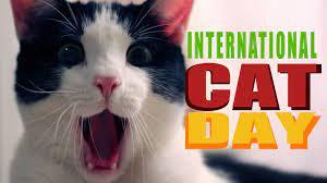 cats day